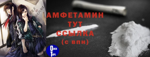 прущие грибы Медногорск
