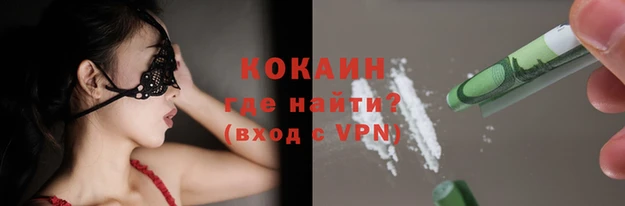 прущие грибы Медногорск