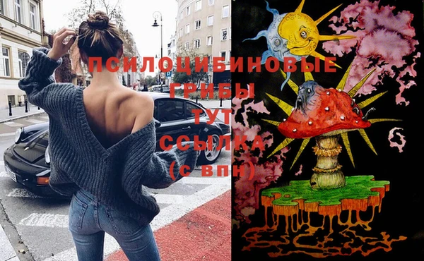каннабис Медвежьегорск