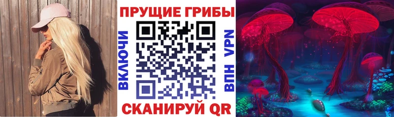 Галлюциногенные грибы мицелий  хочу наркоту  Терек 